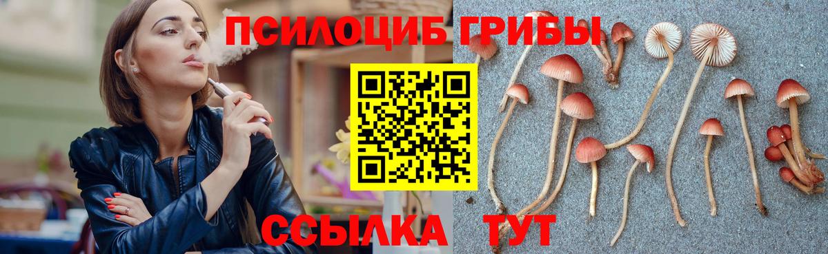 Псилоцибиновые грибы MAGIC MUSHROOMS Избербаш